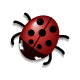 ladybug_02_h.png
